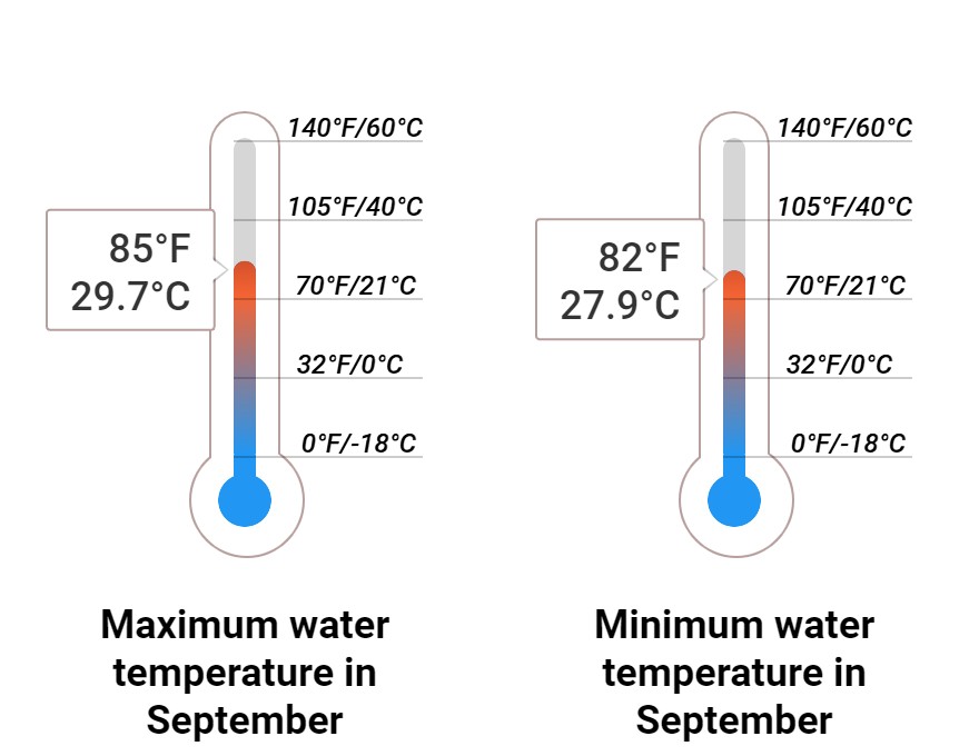 Average Sea temperature